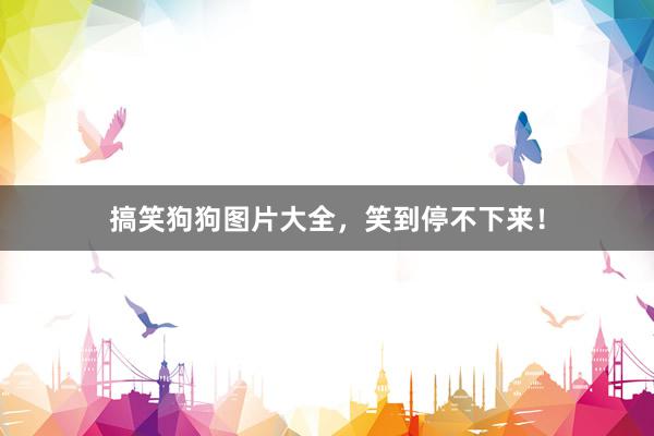 搞笑狗狗图片大全，笑到停不下来！